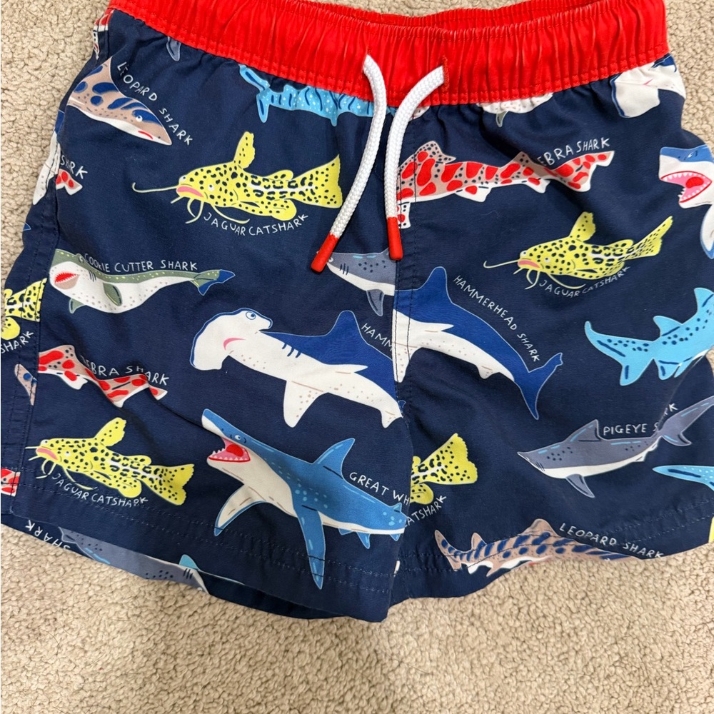 Mini Boden  Shark Print Swim Shorts. 3-4T